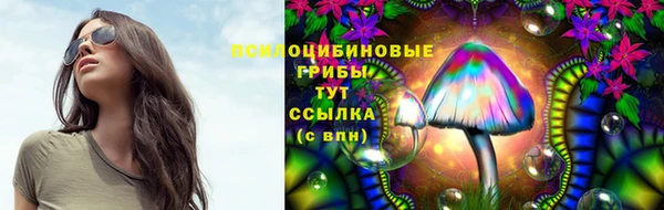 прущая мука Богородицк