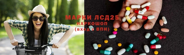 гидра Богданович