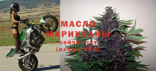 гидра Богданович