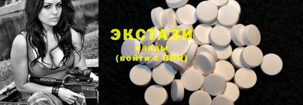 гидра Богданович