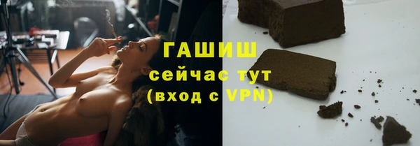 гидра Богданович