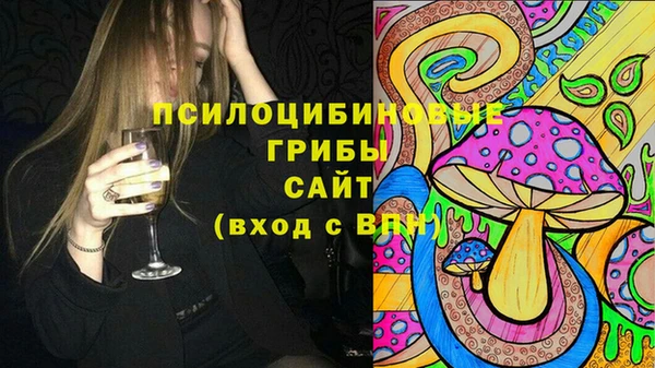 гидра Богданович