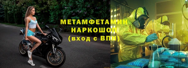 гидра Богданович