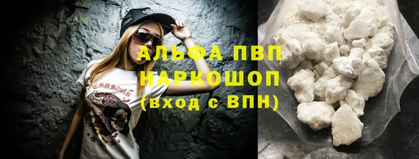 гидра Богданович
