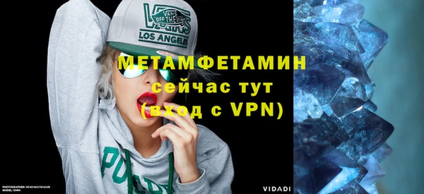 гидра Богданович