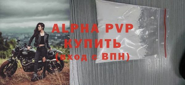 гидра Богданович
